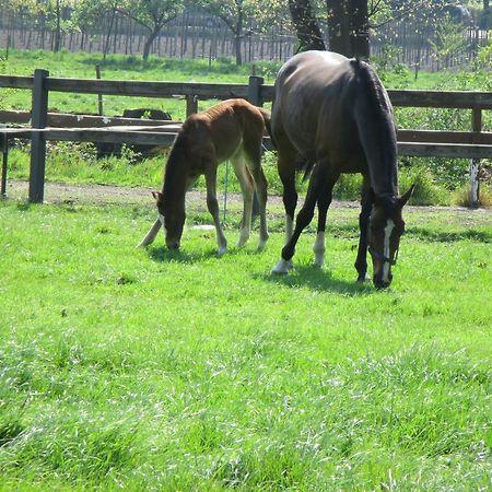 B&B De Turffabriek Griendtsveen Εξωτερικό φωτογραφία
